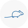 Mice Exterminators In Leatherhead